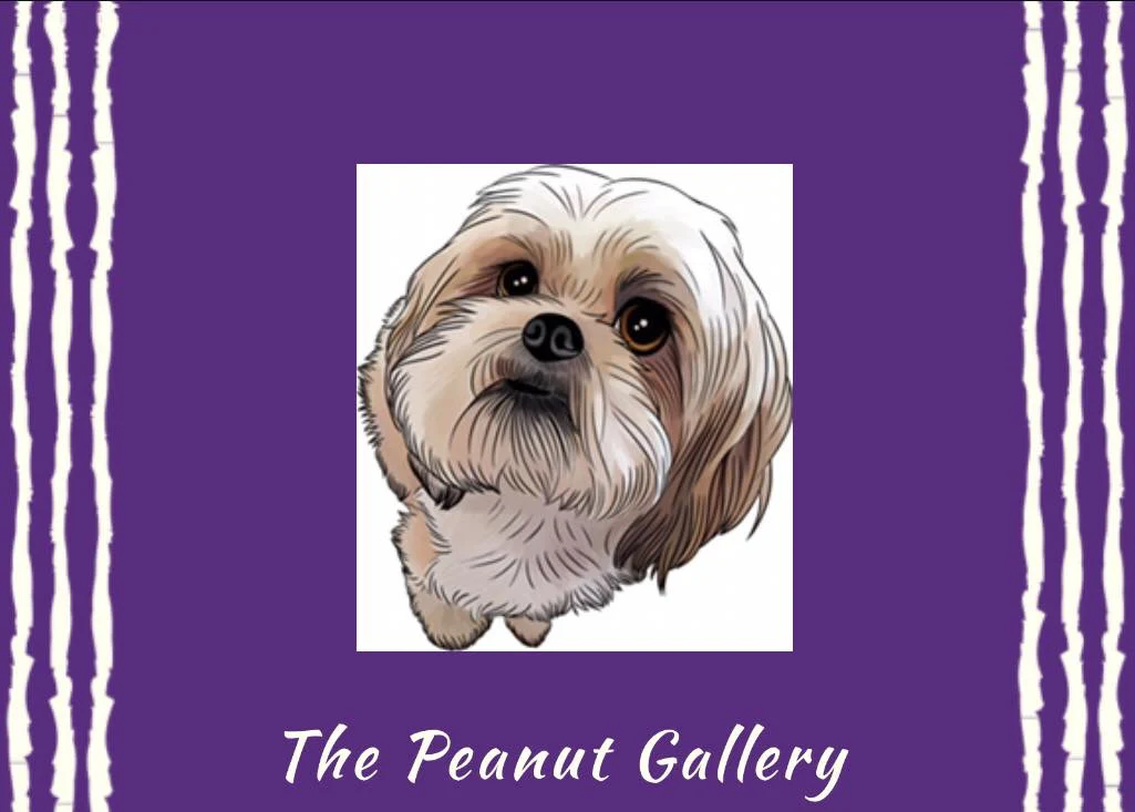 Welcome to Our Store